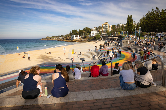 Australia Shark Attack