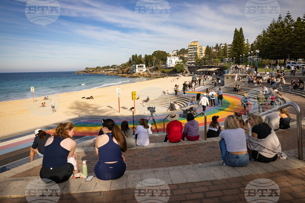 Australia Shark Attack