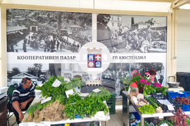Кюстендил - пазар - откриване
