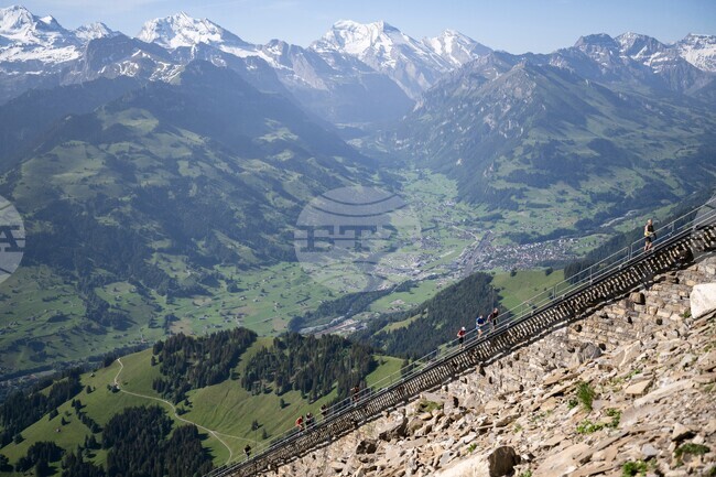 Switzerland Niesen Stairway Run