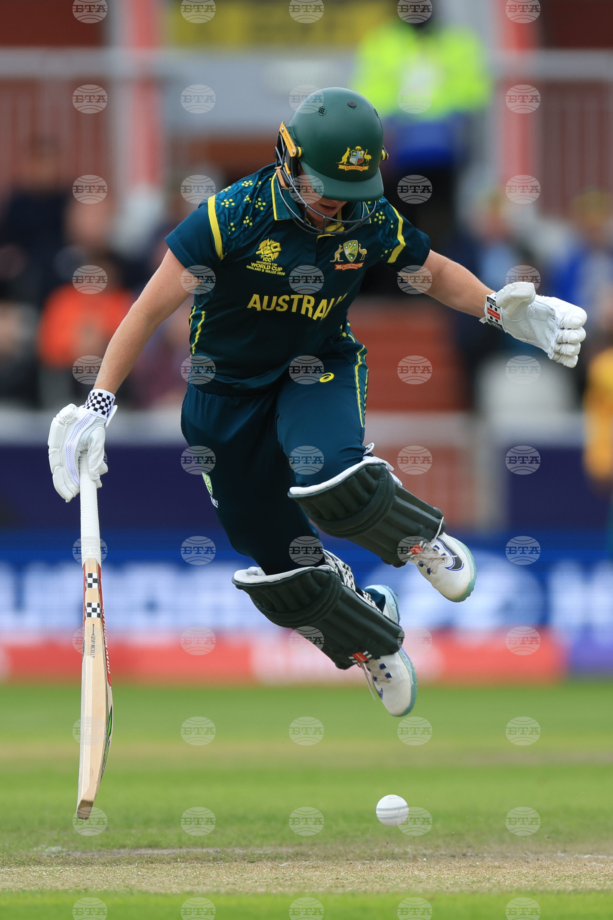 Australia South Africa Women's T20 World Cup Cricket