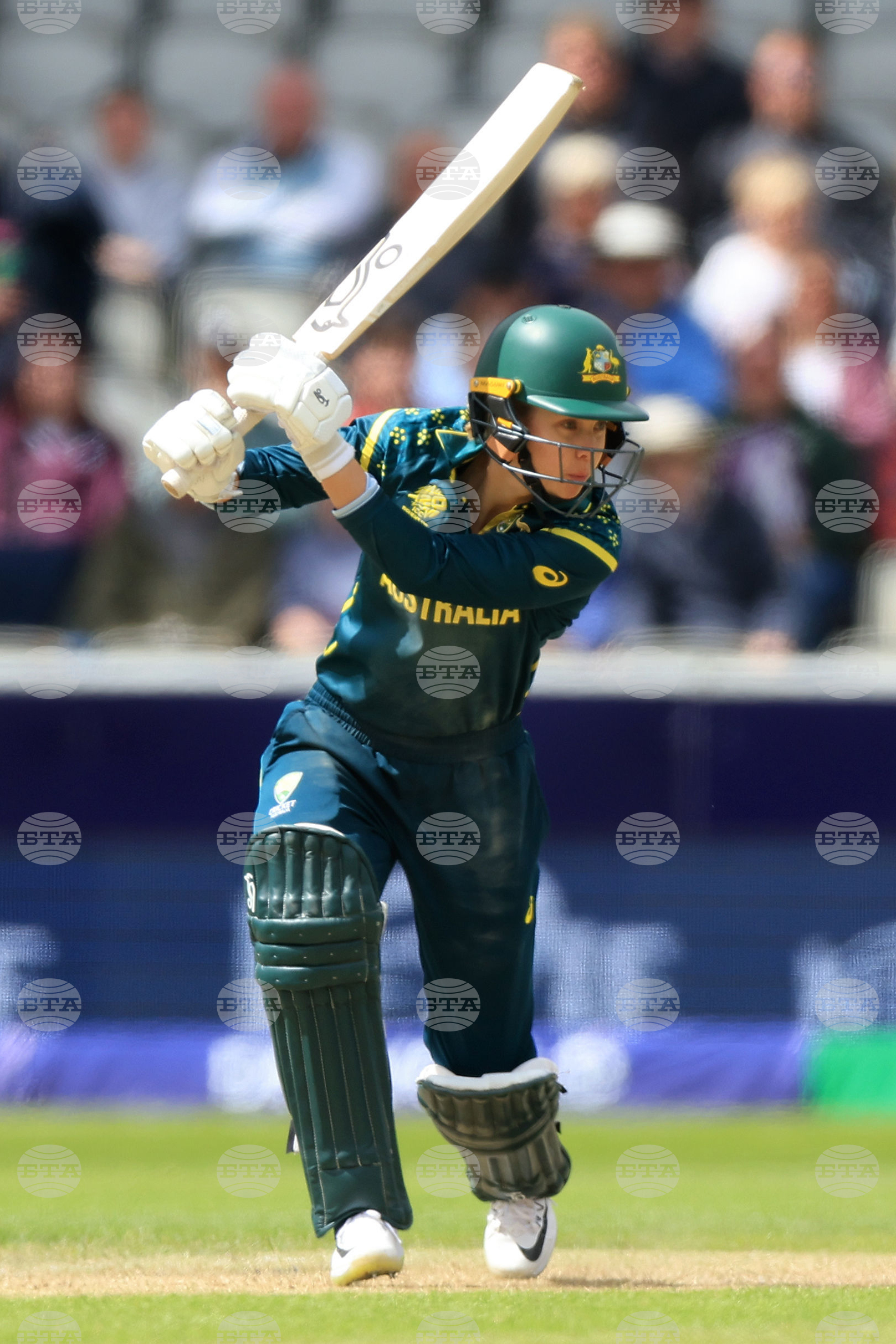 Australia South Africa Women's T20 World Cup Cricket
