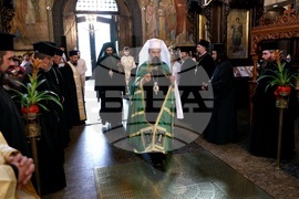 Патриарх Даниил - литургия и молебен за българското семейство