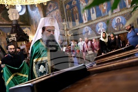 Патриарх Даниил - литургия и молебен за българското семейство
