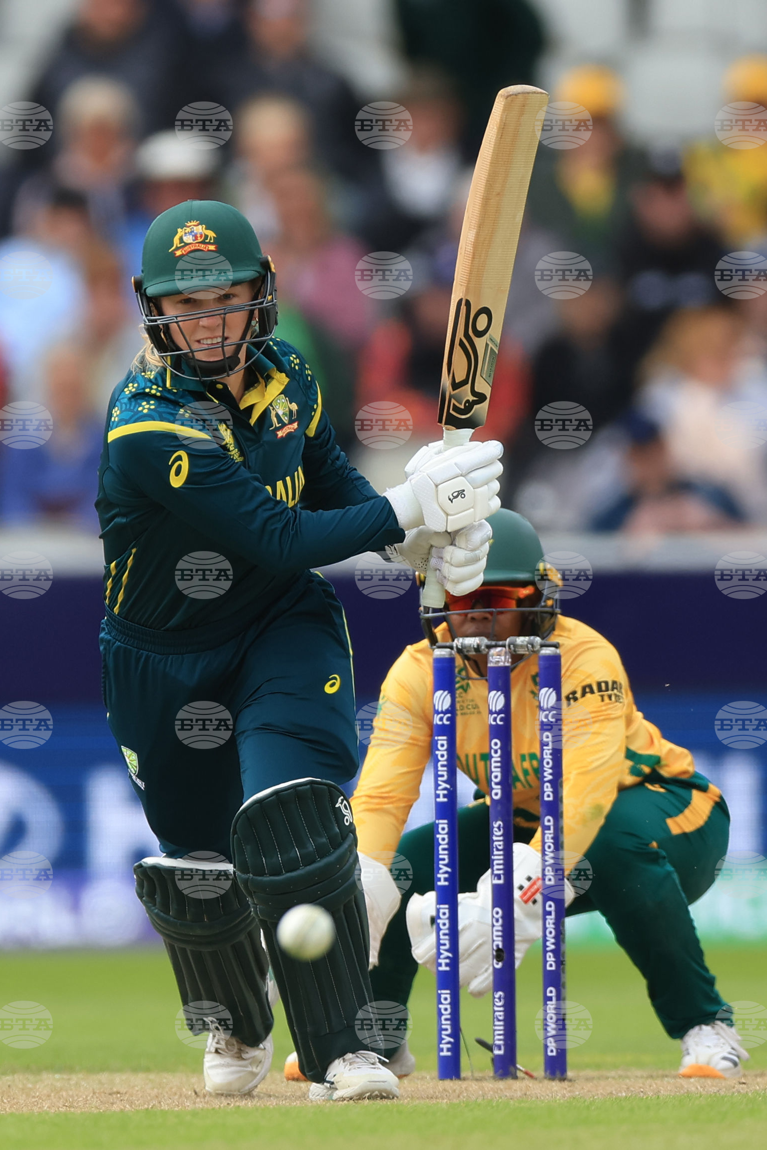 Australia South Africa Women's T20 World Cup Cricket
