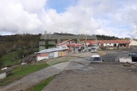 Село Велишани - набези на вълци върху домашни животни - оплаквания