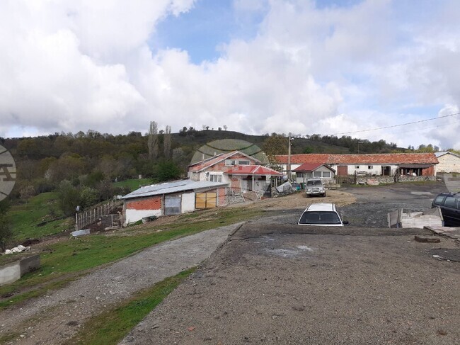 Село Велишани - набези на вълци върху домашни животни - оплаквания