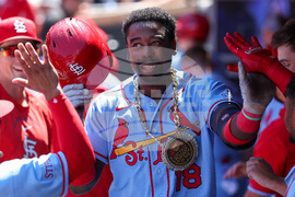 Cardinals Twins Baseball