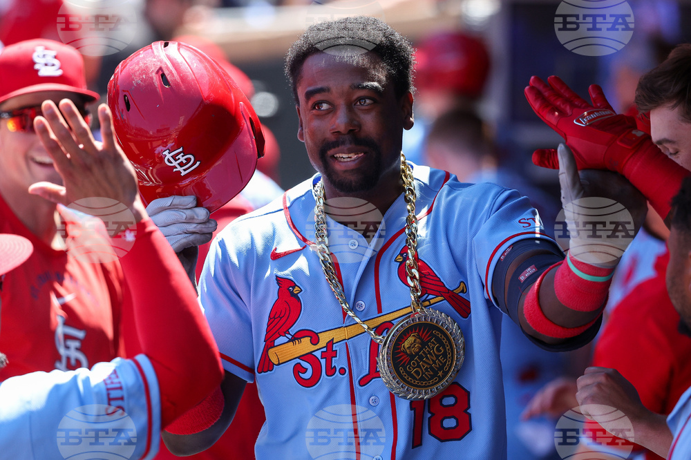 Cardinals Twins Baseball