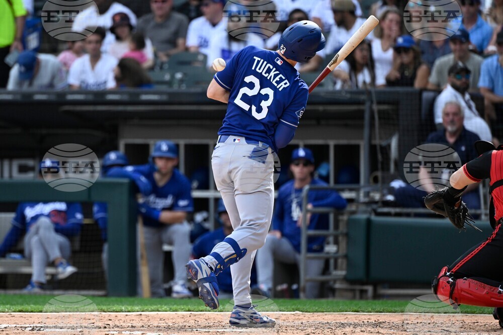 Dodgers White Sox Baseball