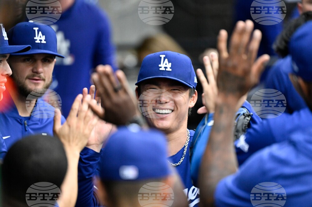 Dodgers White Sox Baseball