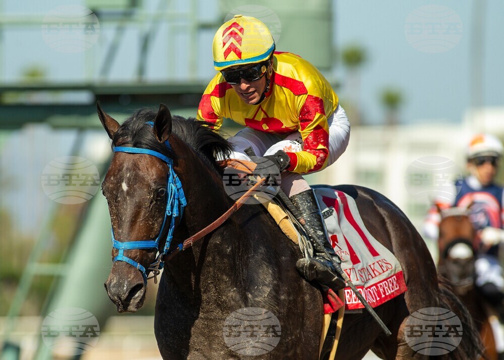 Santa Anita Horse Racing