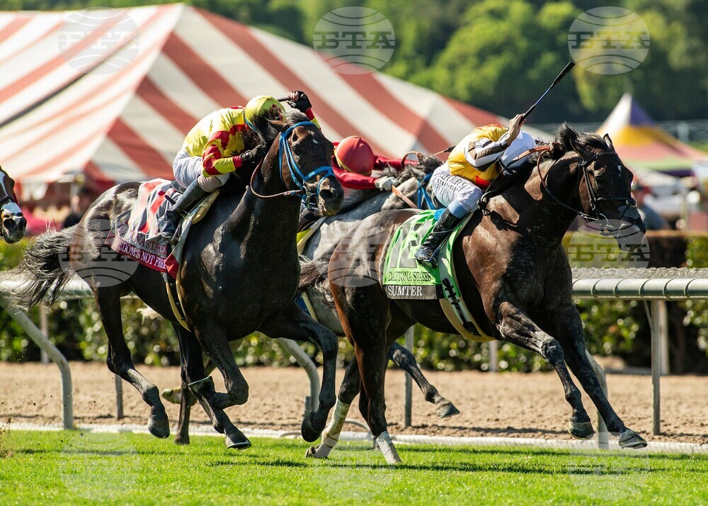 Santa Anita Horse Racing
