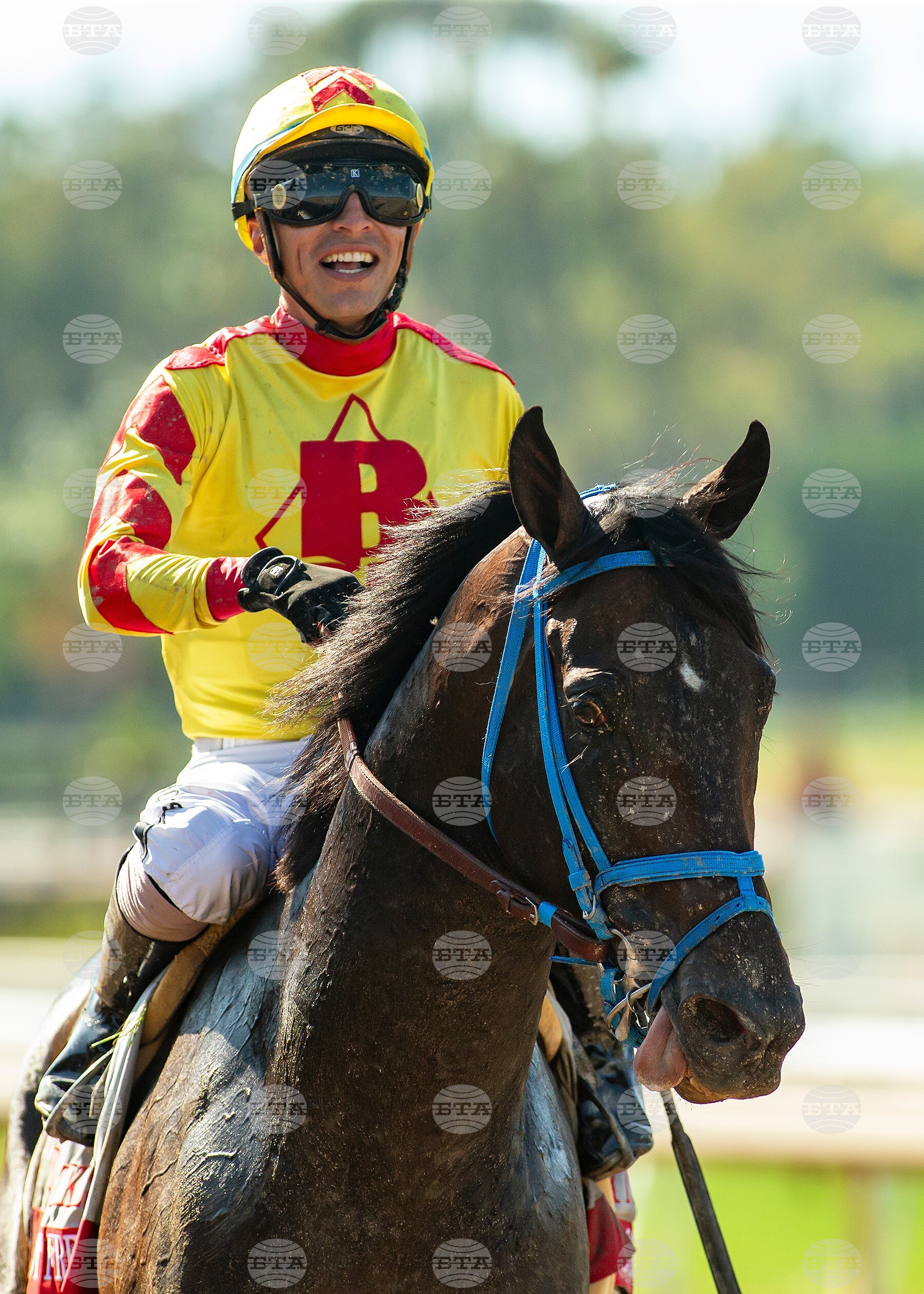 Santa Anita Horse Racing