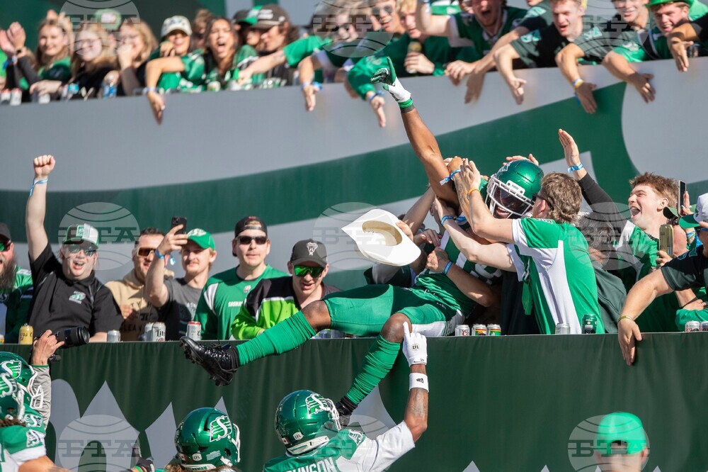 Lions Roughriders Football