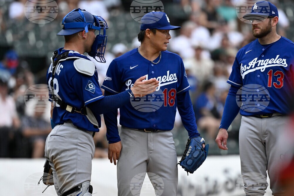 Dodgers White Sox Baseball