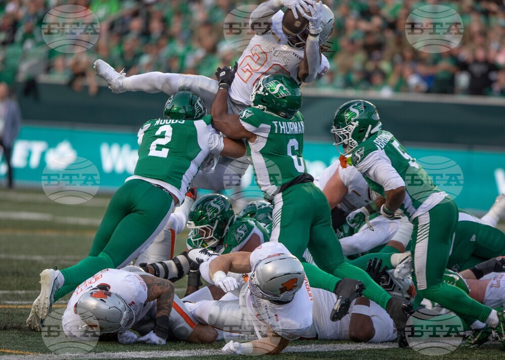 Lions Roughriders Football