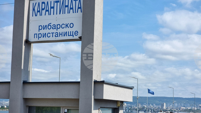 През тази година за пръв път варненско пристанище получи международното отличие „Син флаг“