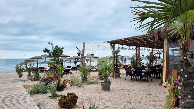 Forest Beach - Chernomorets Hut near Varna Welcomes Visitors with Eco-Friendly Facilities