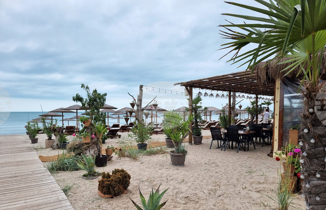 Forest Beach - Chernomorets Hut near Varna Welcomes Visitors with Eco-Friendly Facilities