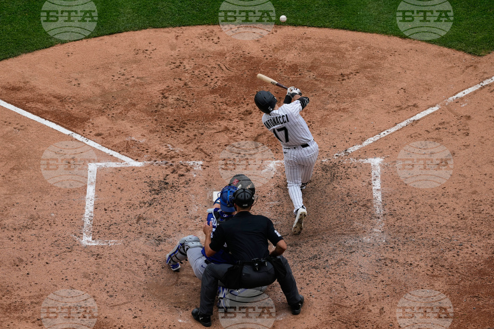 Dodgers White Sox Baseball