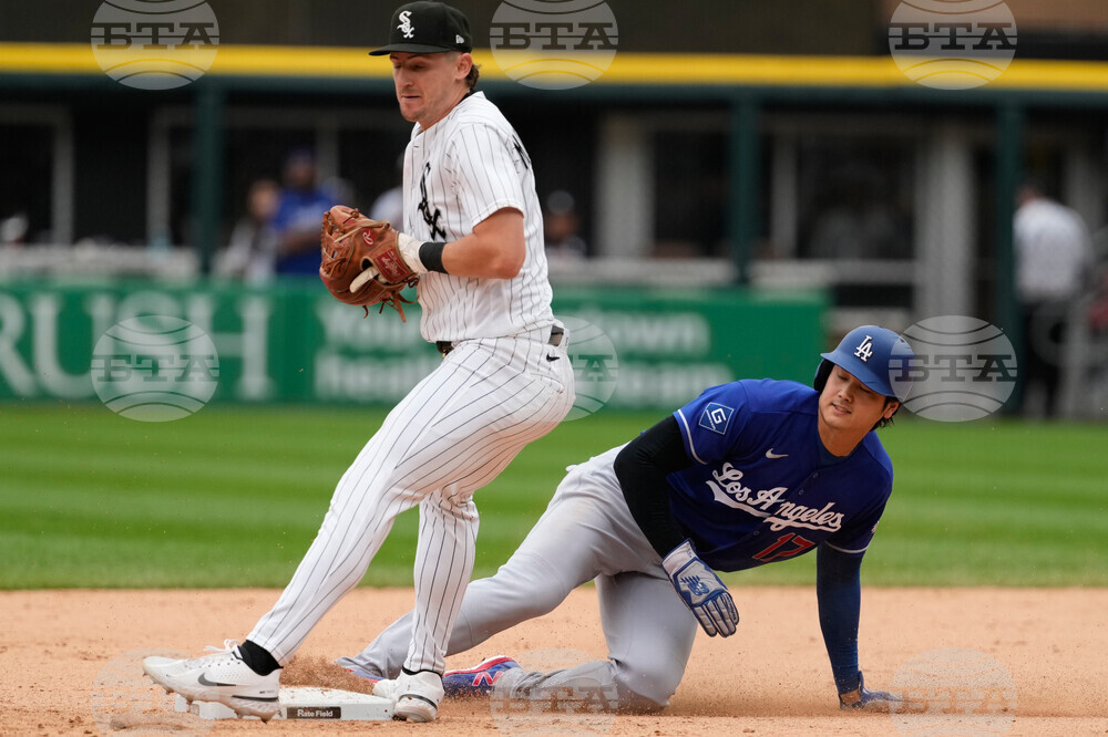 Dodgers White Sox Baseball