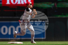 Cardinals Twins Baseball
