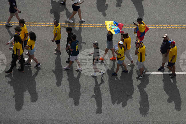 Ecuador Ivory Coast WCup Soccer