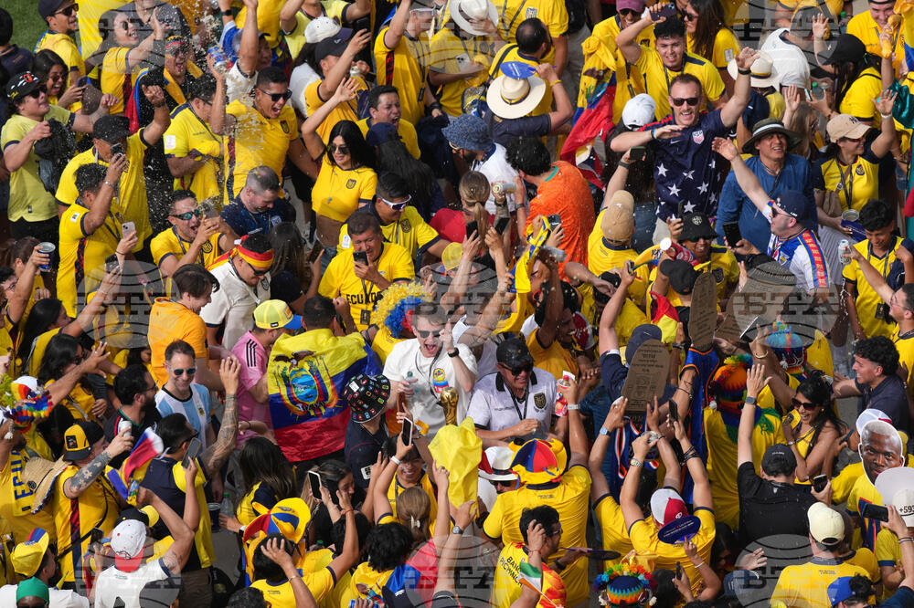 Ecuador Ivory Coast WCup Soccer