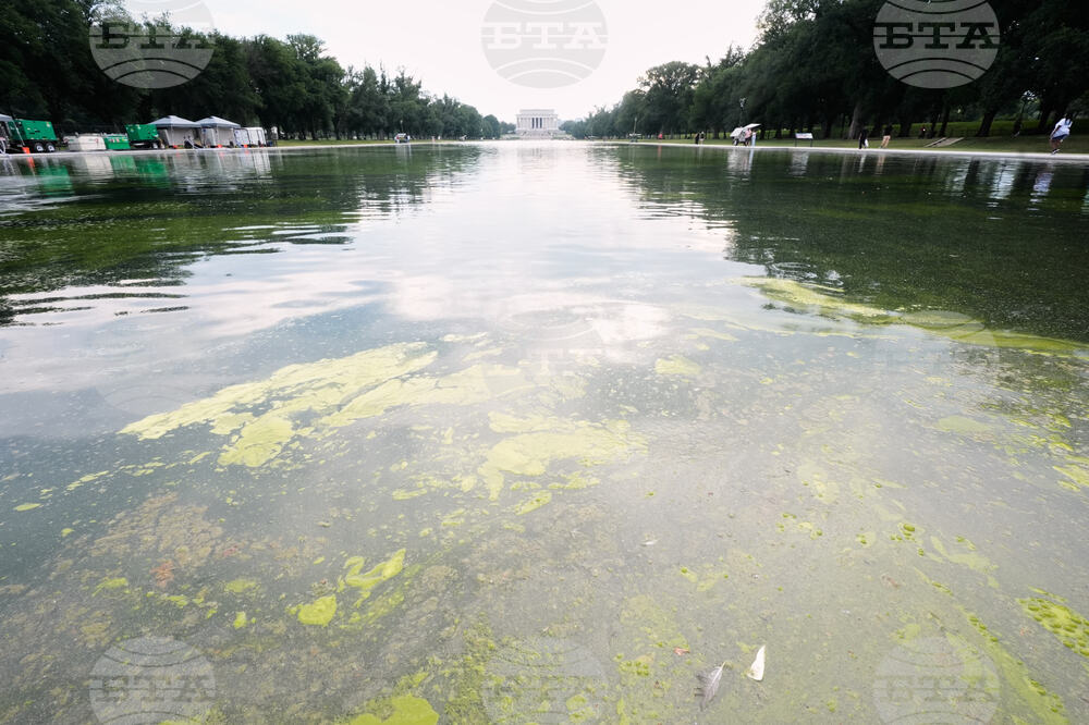 Lincoln Memorial Reflecting Pool