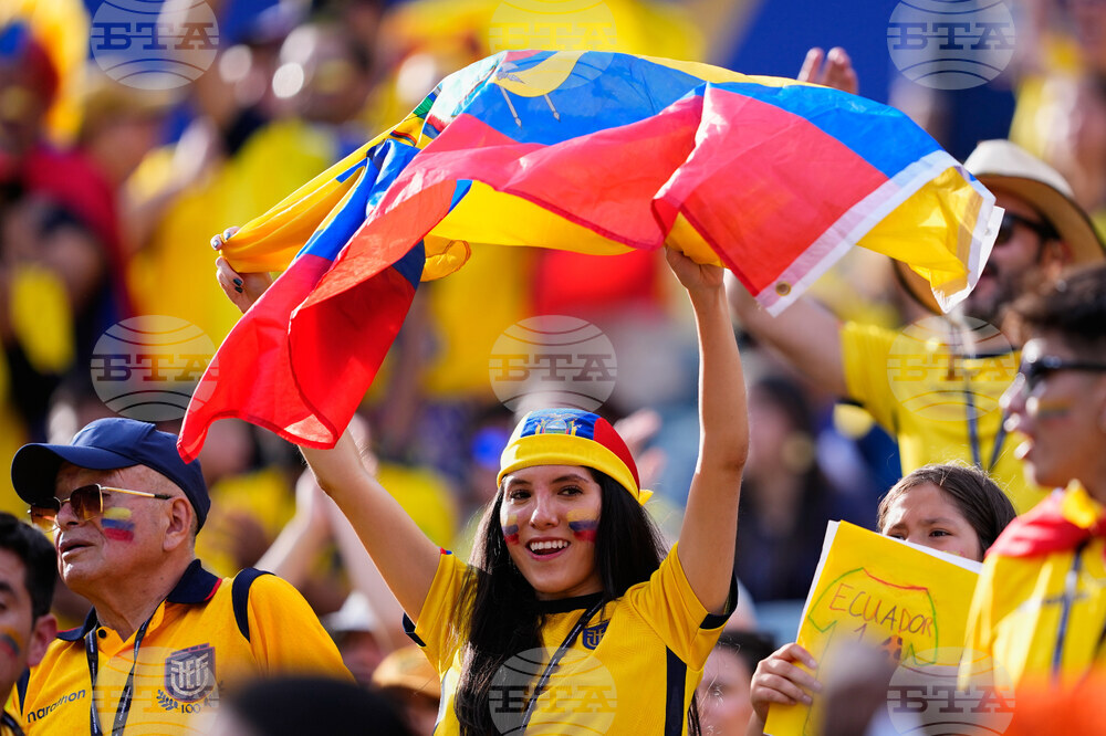 Ecuador Ivory Coast WCup Soccer
