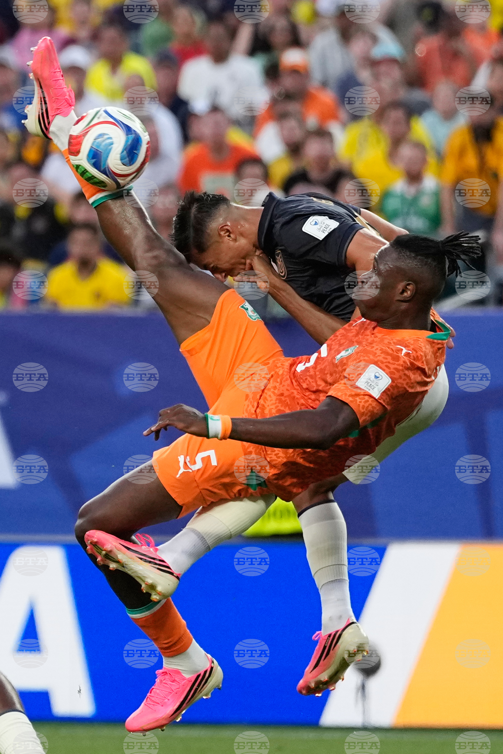 Ecuador Ivory Coast WCup Soccer
