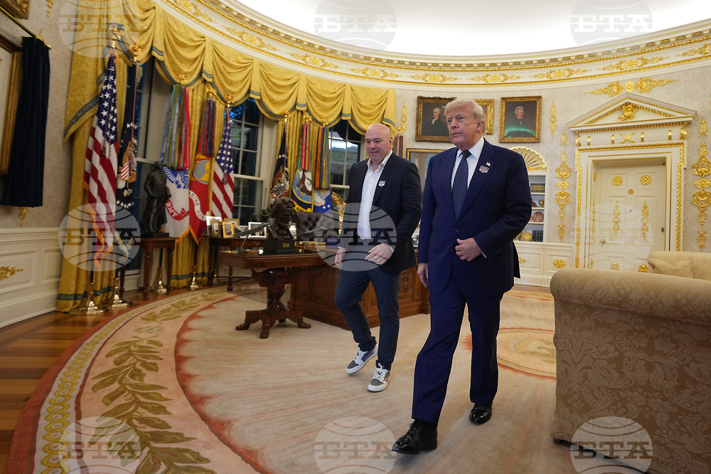 UFC Freedom 250 Trump