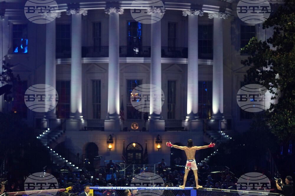 UFC Freedom 250 Trump