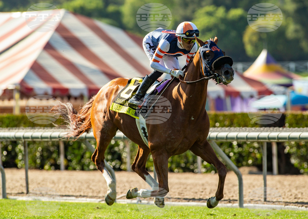 Santa Anita Horse Racing