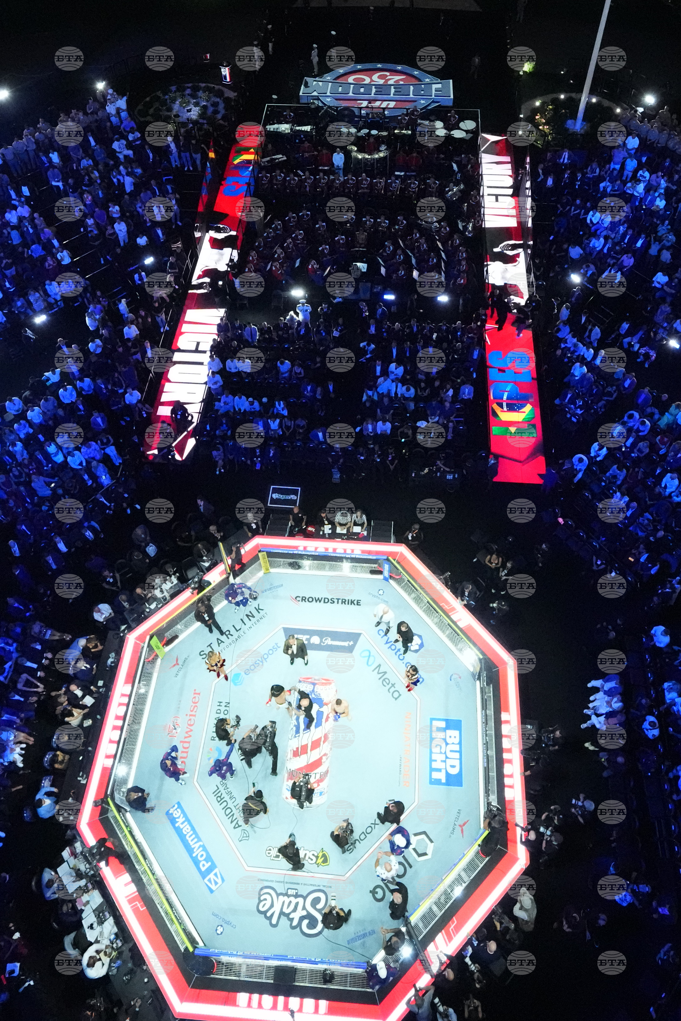 UFC Freedom 250 Trump