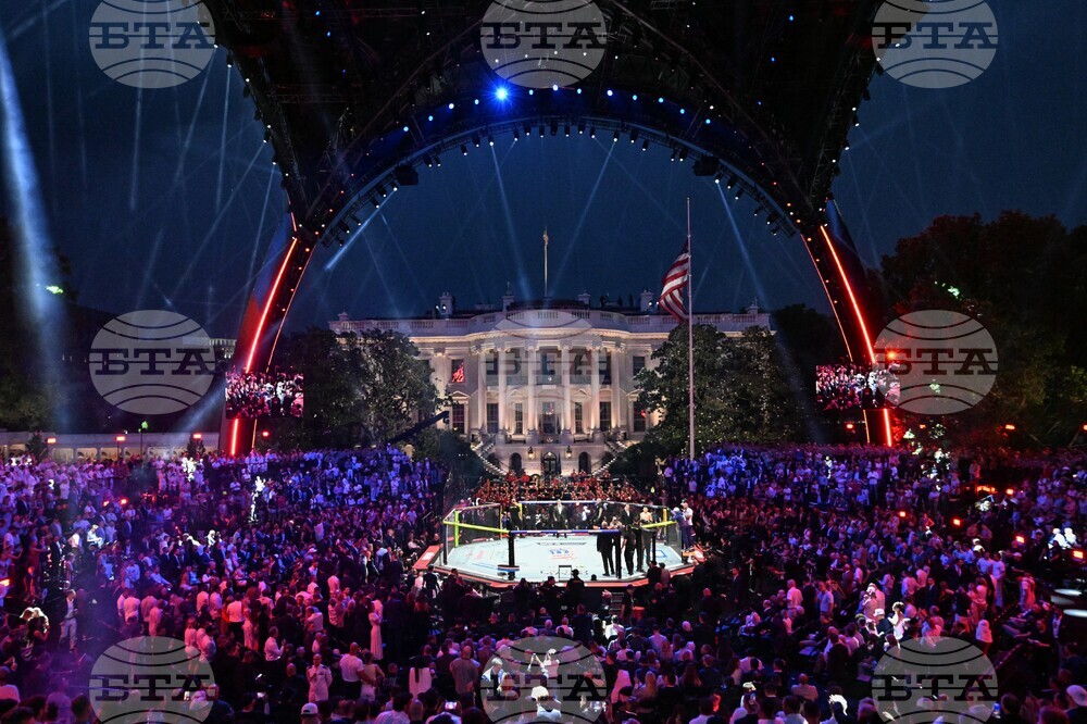 UFC Freedom 250 Trump