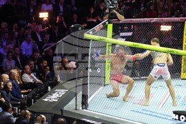 UFC Freedom 250 Trump