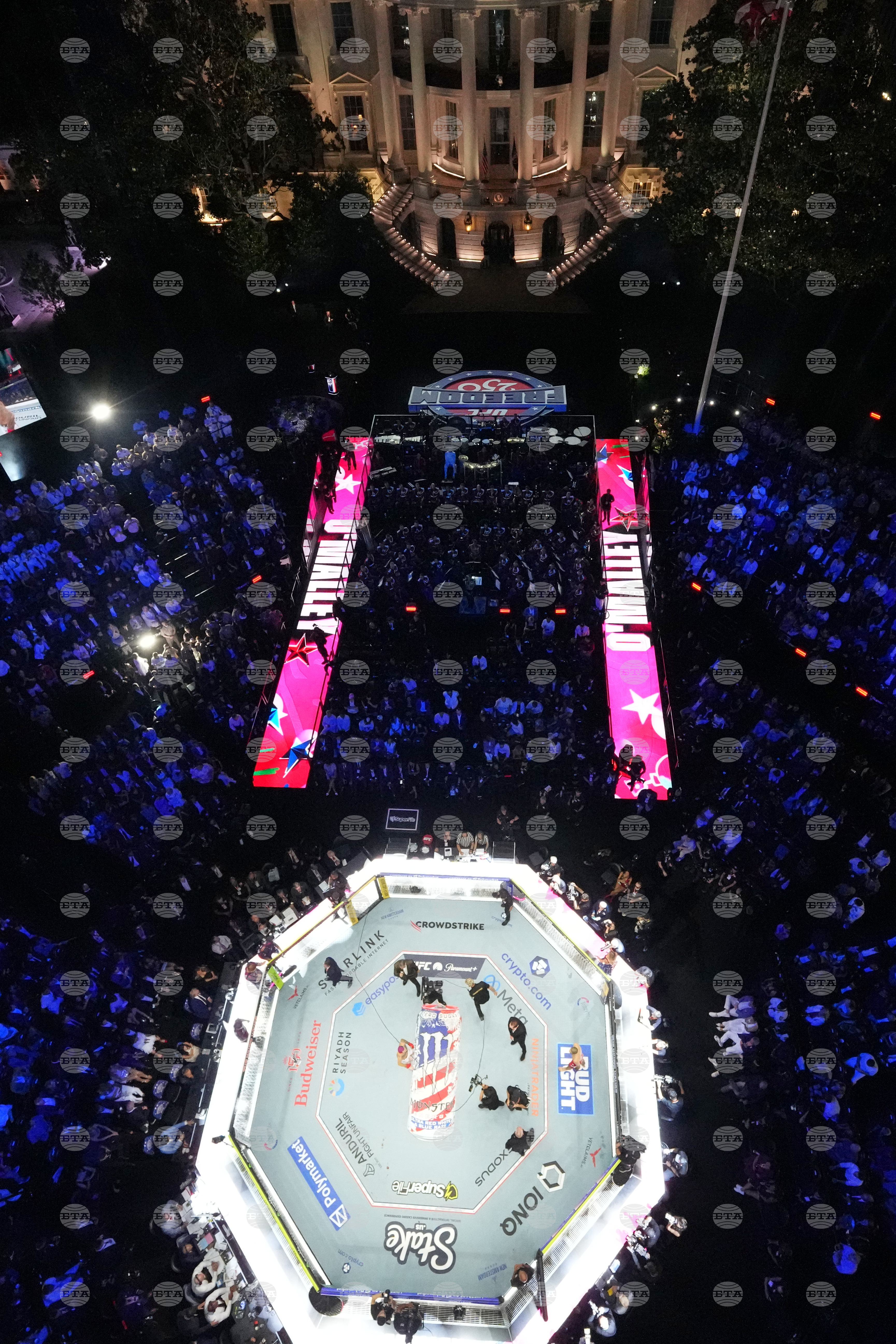 UFC Freedom 250 Trump