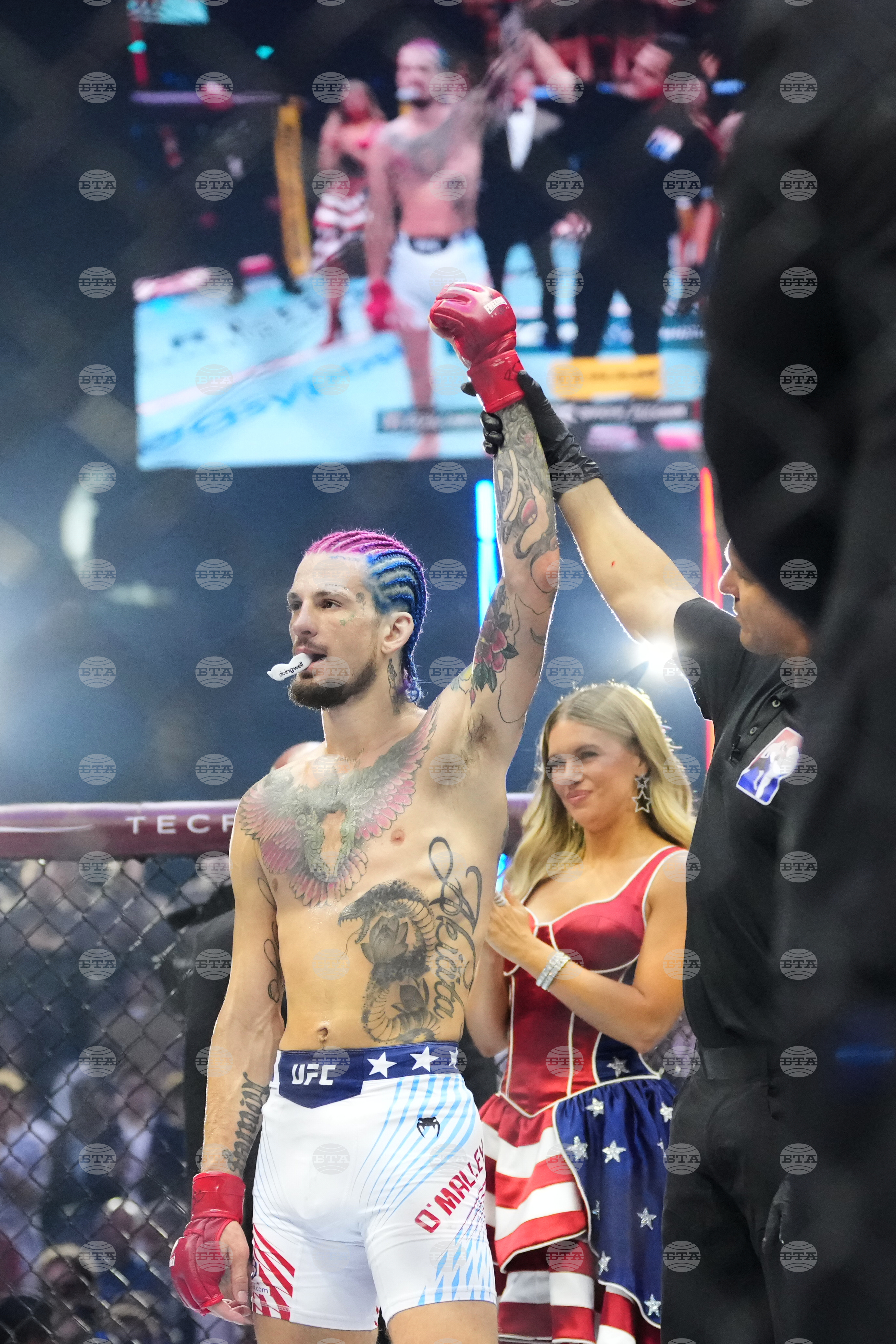 UFC Freedom 250 Trump