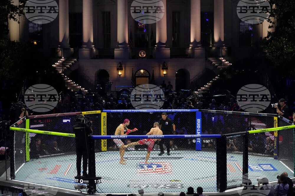 UFC Freedom 250 Trump