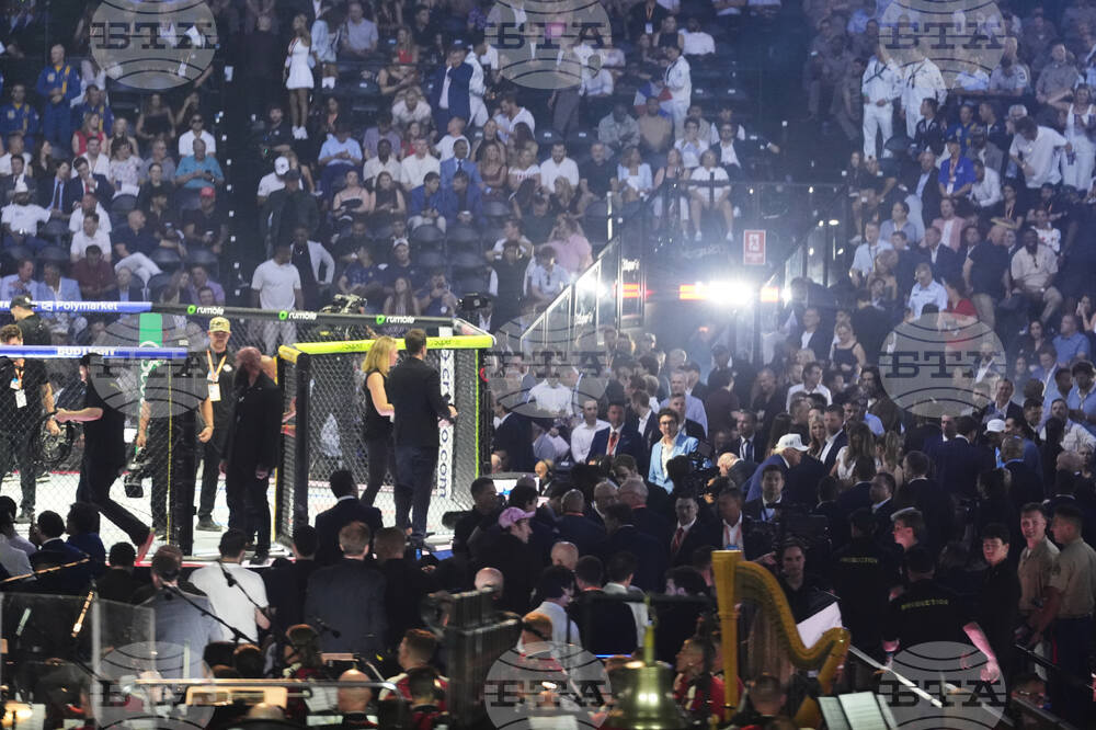 UFC Freedom 250 Trump