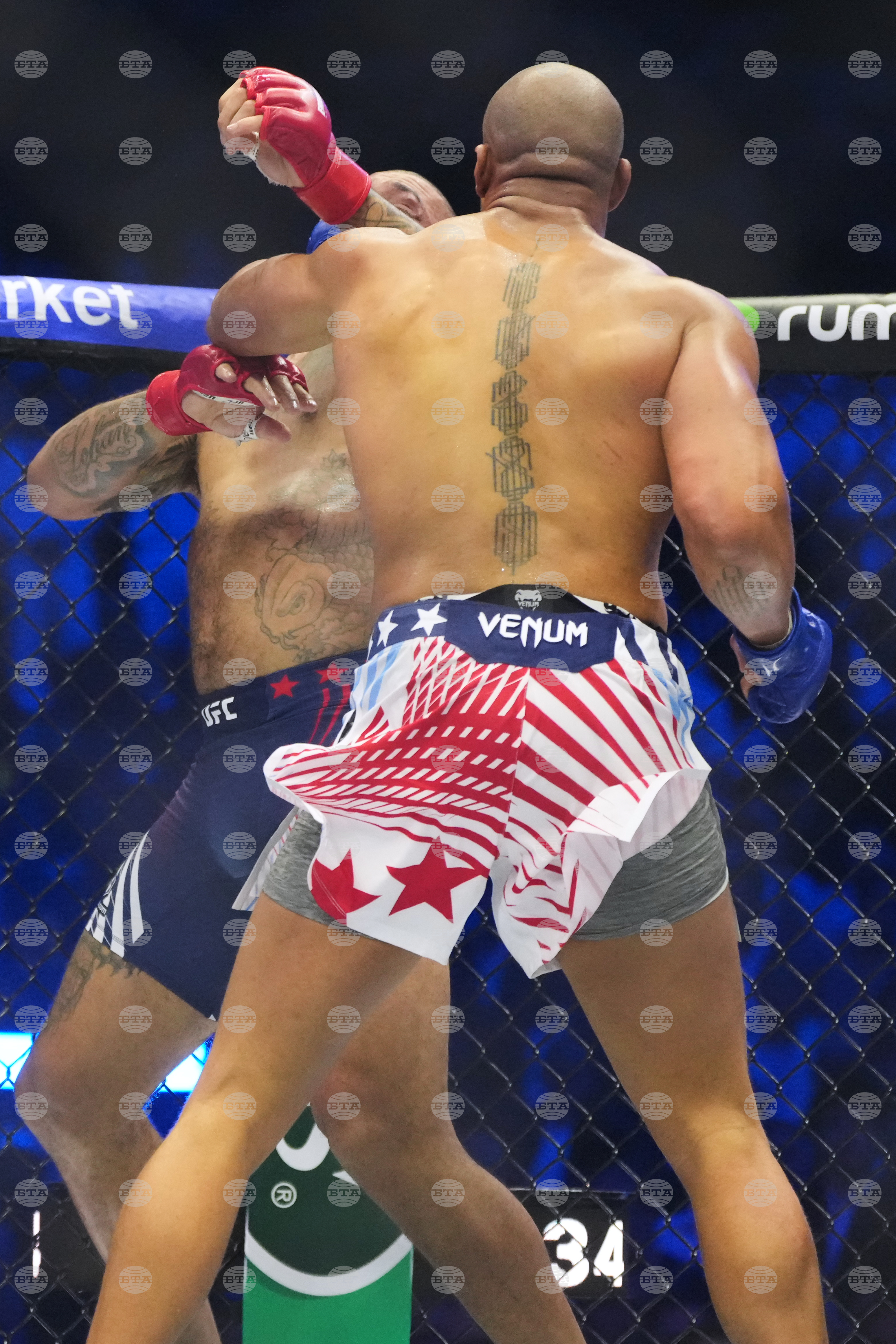 UFC Freedom 250 Trump