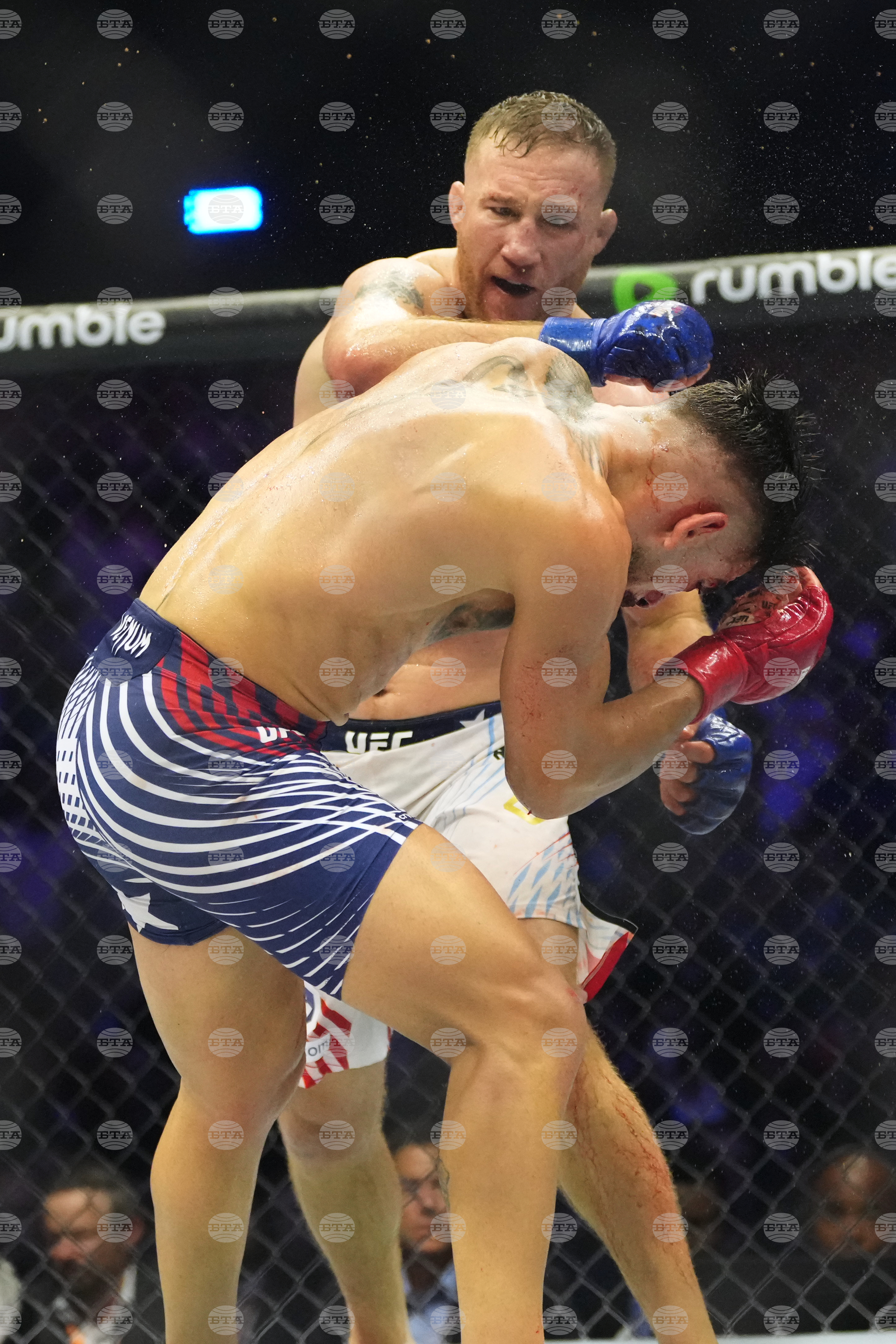 UFC Freedom 250 Trump