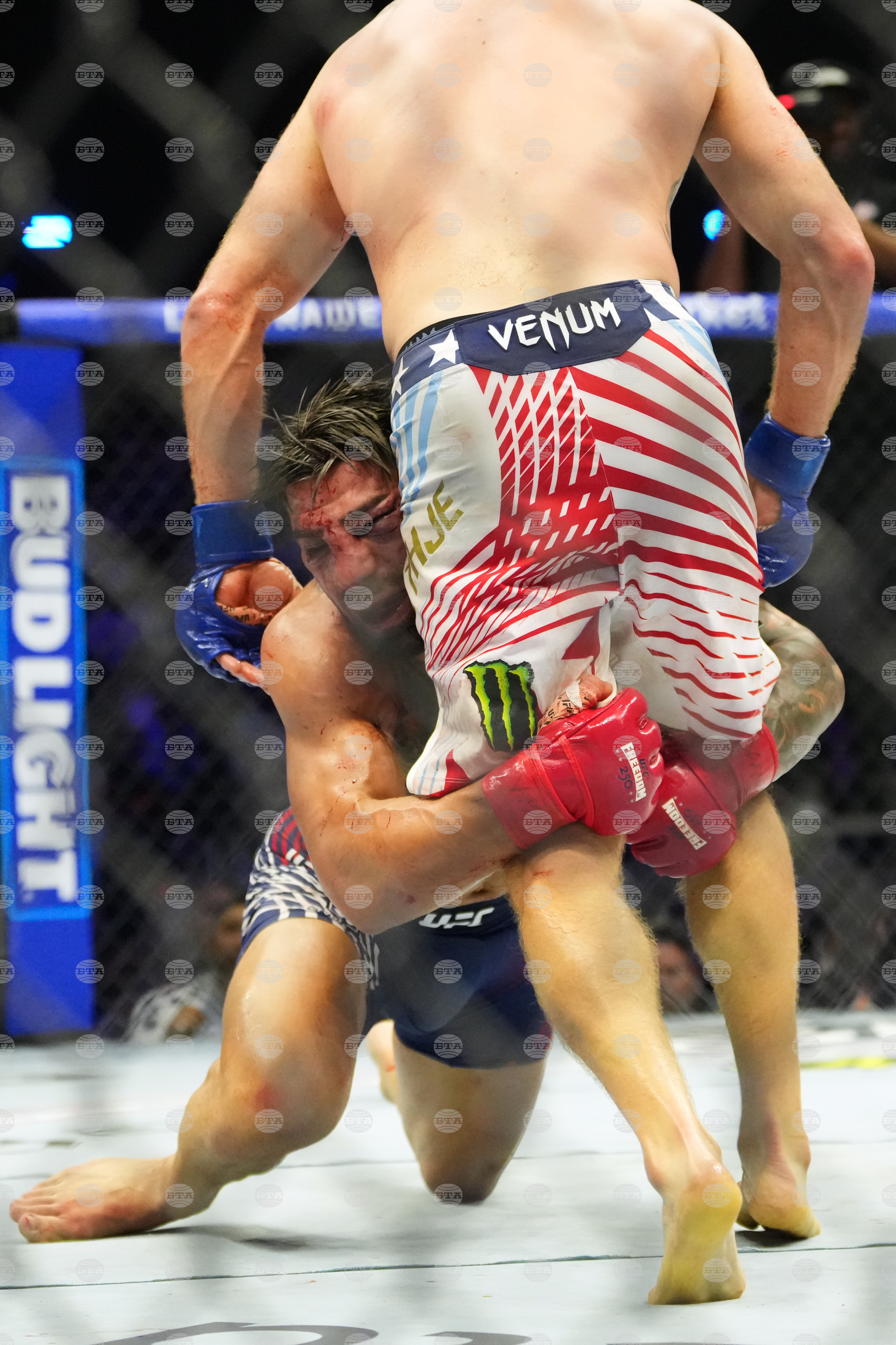 UFC Freedom 250 Trump