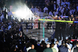 UFC Freedom 250 Trump