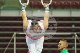 Световно първенство за атлети със Синдром на Даун - гимнастика
