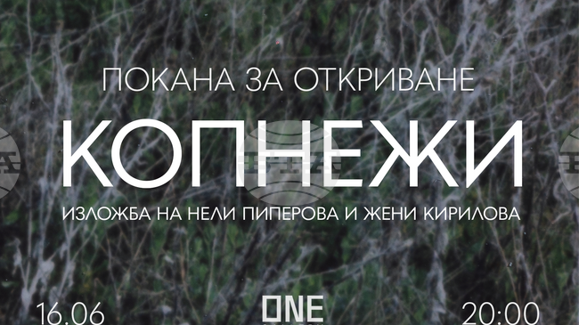 Нели Пиперова и Жени Кирилова изследват копнежа и неговия еволюционен път в новата си изложба