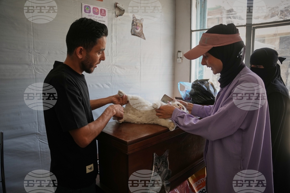 Palestinians Gaza's Pets