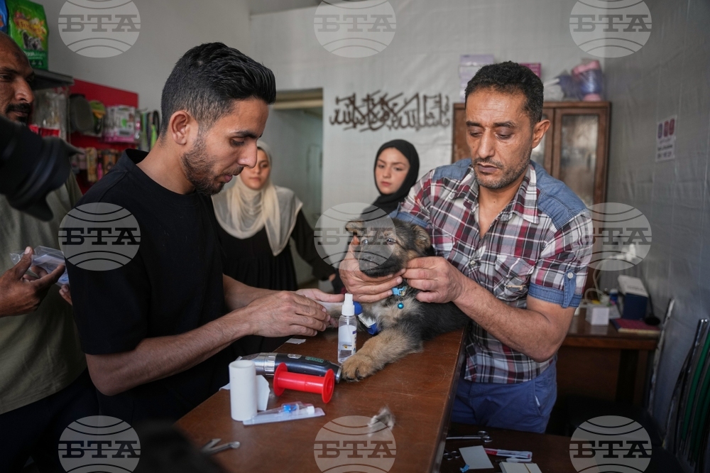 Palestinians Gaza's Pets